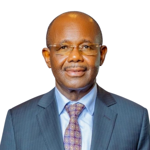 Hon. Prof. Makame Mbarawa